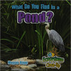 What Do You Find in a Pond? by Megan Kopp
