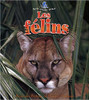 Les Felins by Amanda Bishop