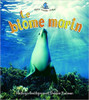 Le Biome Marin by Kathryn Smithyman