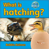 What is hatching? by Bobbie Kalman