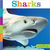 Sharks by Kate Riggs