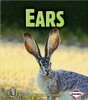 Ears by Melanie Mitchell