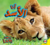 I Am a Lion (Arabic) by Karen Durrie