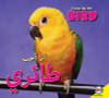 I Love My Pet Bird (Arabic) by Aaron Carr