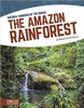 The Amazon Rainforest by Rebecca Kraft Rector