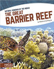 The Great Barrier Reef by Rebecca Kraft Rector