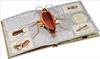 <p>Larger-than-life bugs spring from the pages, peek out from behind flaps, and hide under tabs, inviting young entomologists to marvel at the mind-boggling variety of arthropod life. Exquisite art and dramatic pop-ups bring the world of bugs to teeming life. Full color.</p>