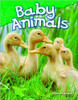 Baby Animals by Elizabeth Austen