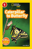 Caterpillar to Butterfly by Laura Marsh