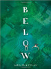 On the day Cassie was born, they drowned her town. The mayor flipped a lever and everyone cheered as Old Lower Grange was submerged beneath 5,000 swimming pools' worth of water. Now, 12 years later, Cassie feels drawn to the manmade lake and the mysteries it hides and she's not the only one.