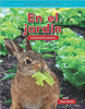 Count the exciting plants and animals found in a garden! This engaging title has been translated into Spanish and helps young readers count, compare numbers, and understand early STEM themes through familiar, engaging images and helpful charts. Children will practice comparing numbers by counting plants and animals, then determining if those numbers are more than, less than, or equal to other numbers. This title features engaging "You Try It!" problems to encourage readers to practice these new skills!