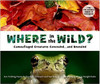 Featuring facts about how nature's camouflage serves hunter and hunted alike, a picture book invites young readers to lift the gatefolds and find ten creatures who are hiding in plain sight.