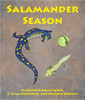Salamander Season by Jennifer Keats Curtis