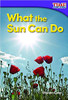 What the Sun Can Do by Sharon Coan