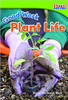 Good Work: Plant Life by Dona Rice