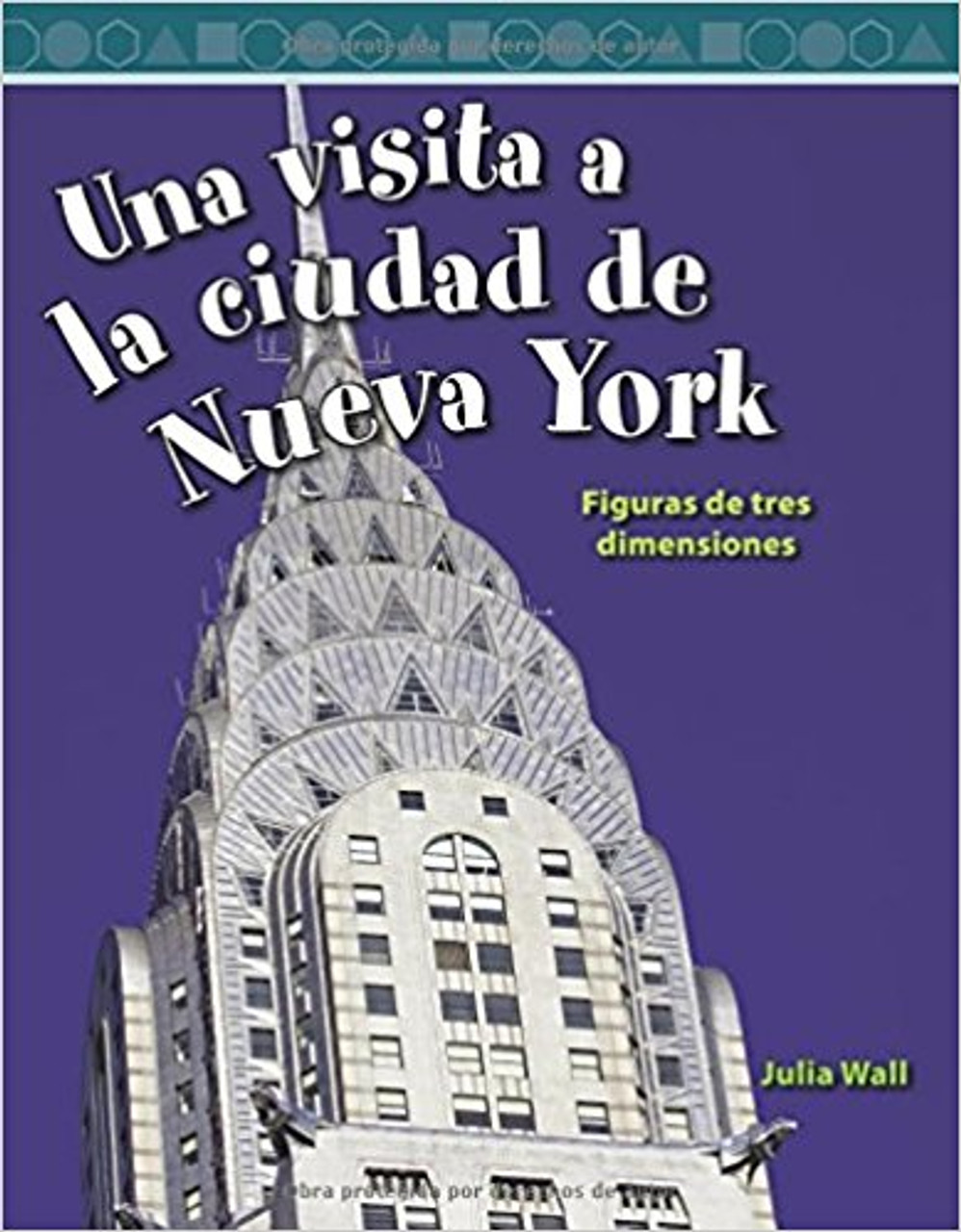 Una visita a la ciudad de Nueva York (A Tour of New York City) by Julia Wall