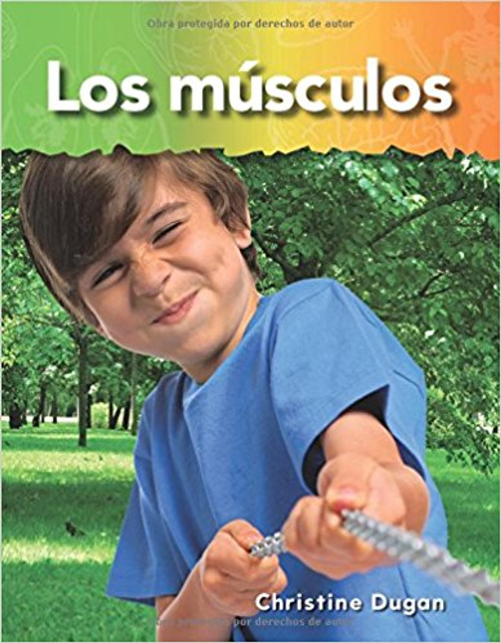 Los músculos (Muscles) by Christine Dugan