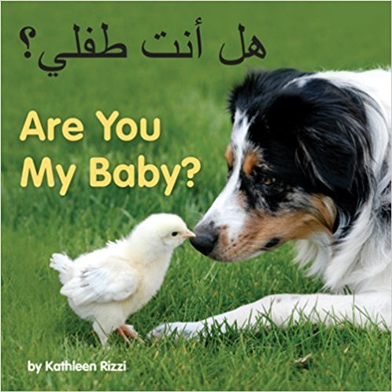 Are You My Baby? (Arabic) by Kathleen Rizzi