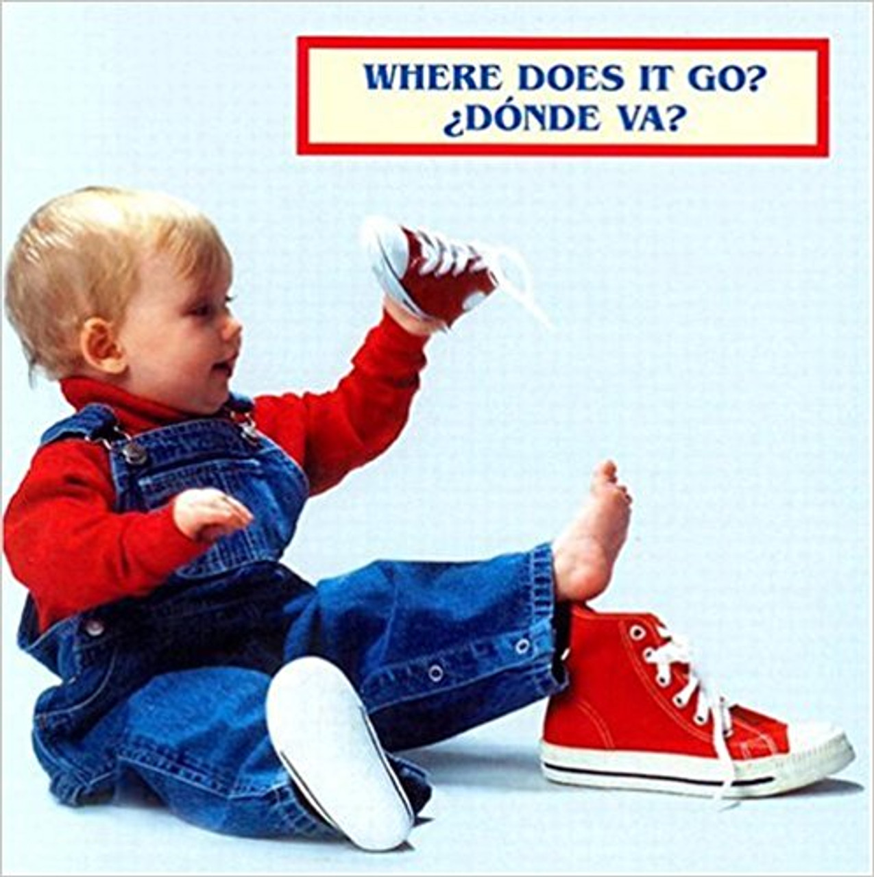 Where Does It Go?/Donde Va? (Spanish/English Bilingual) by Cheryl Christian 