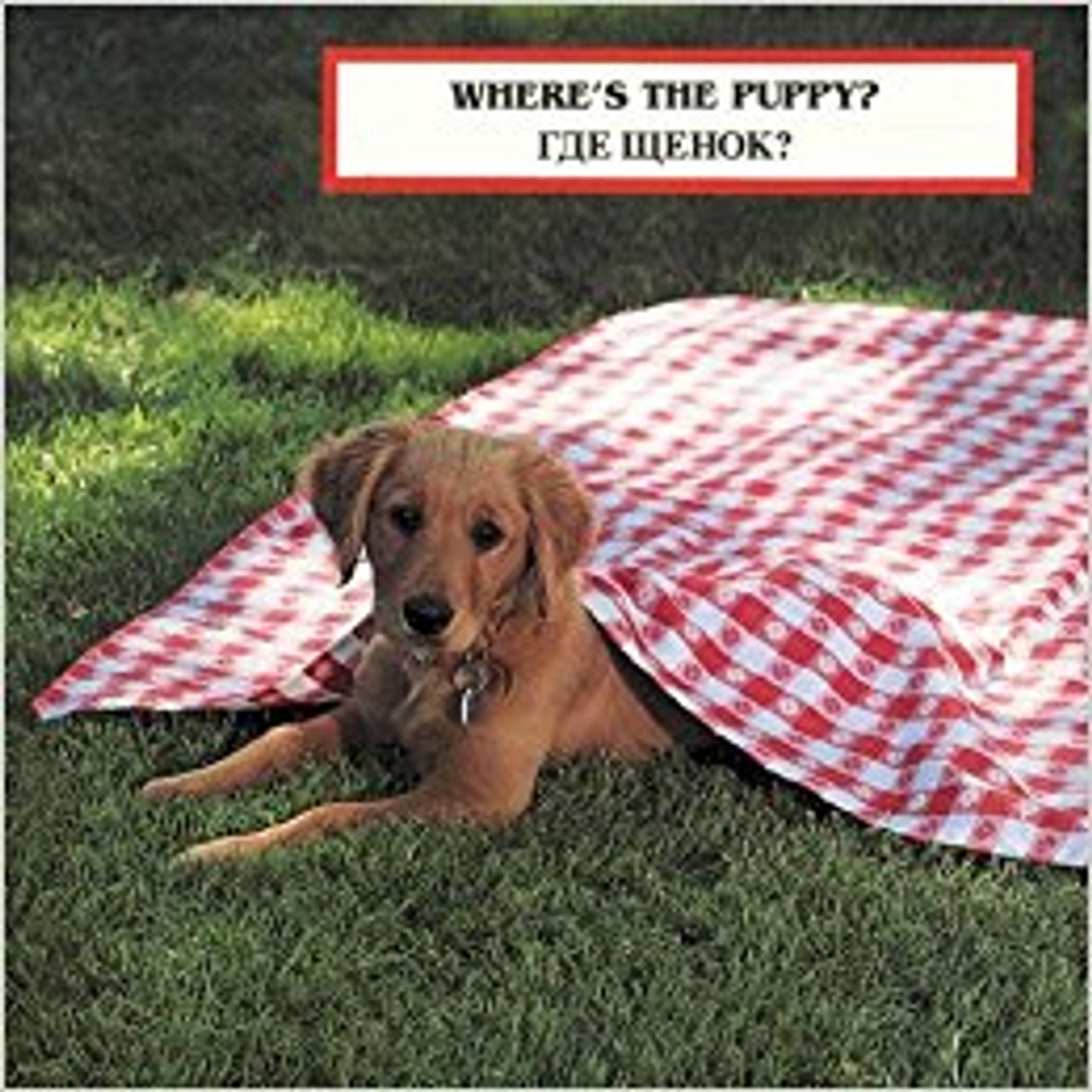 Where's the Puppy? (Russian) by Cheryl Christian