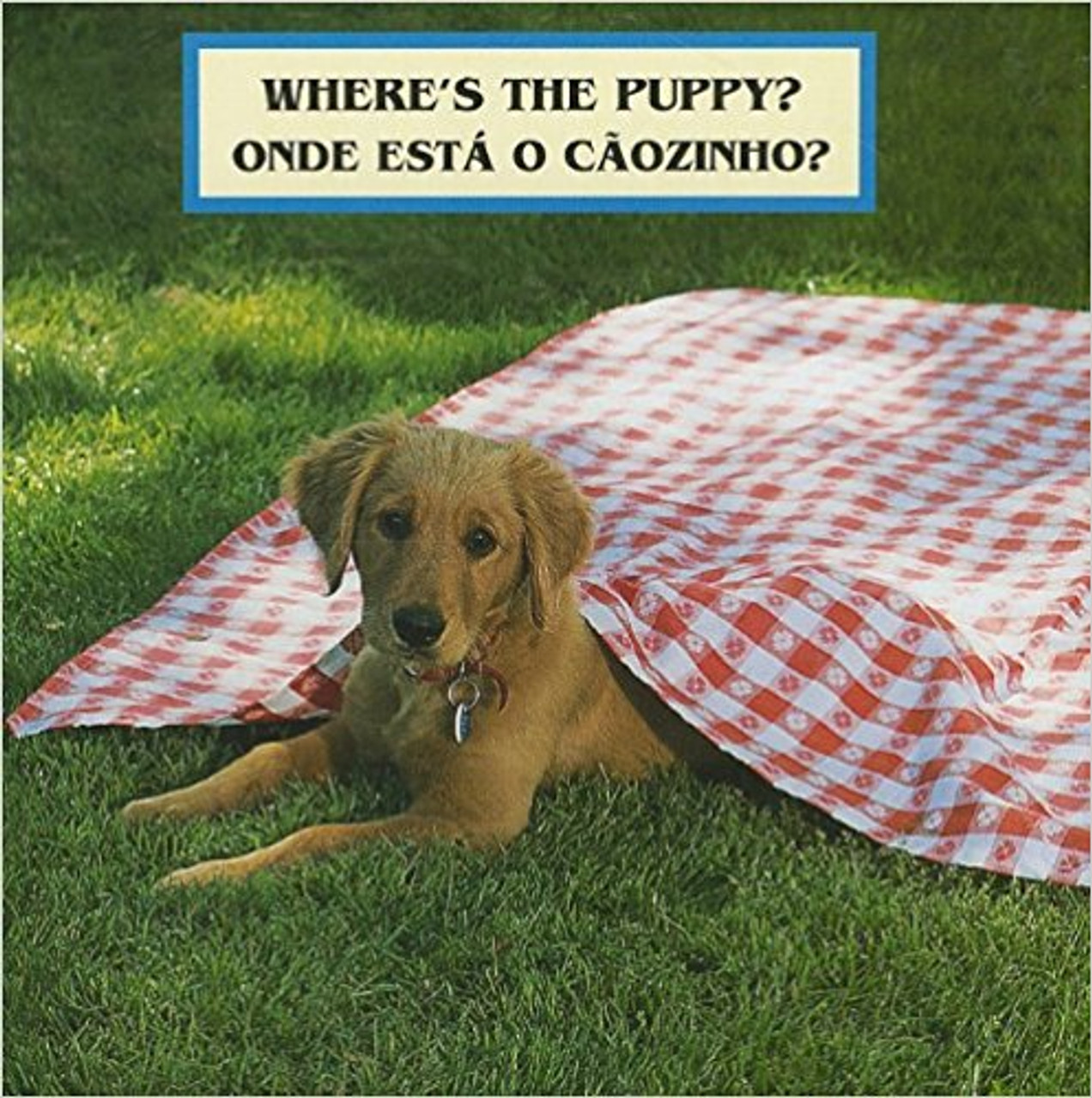 Where's the Puppy?/Onde Esta o Caozinho? (Portuguese) by Cheryl Christian