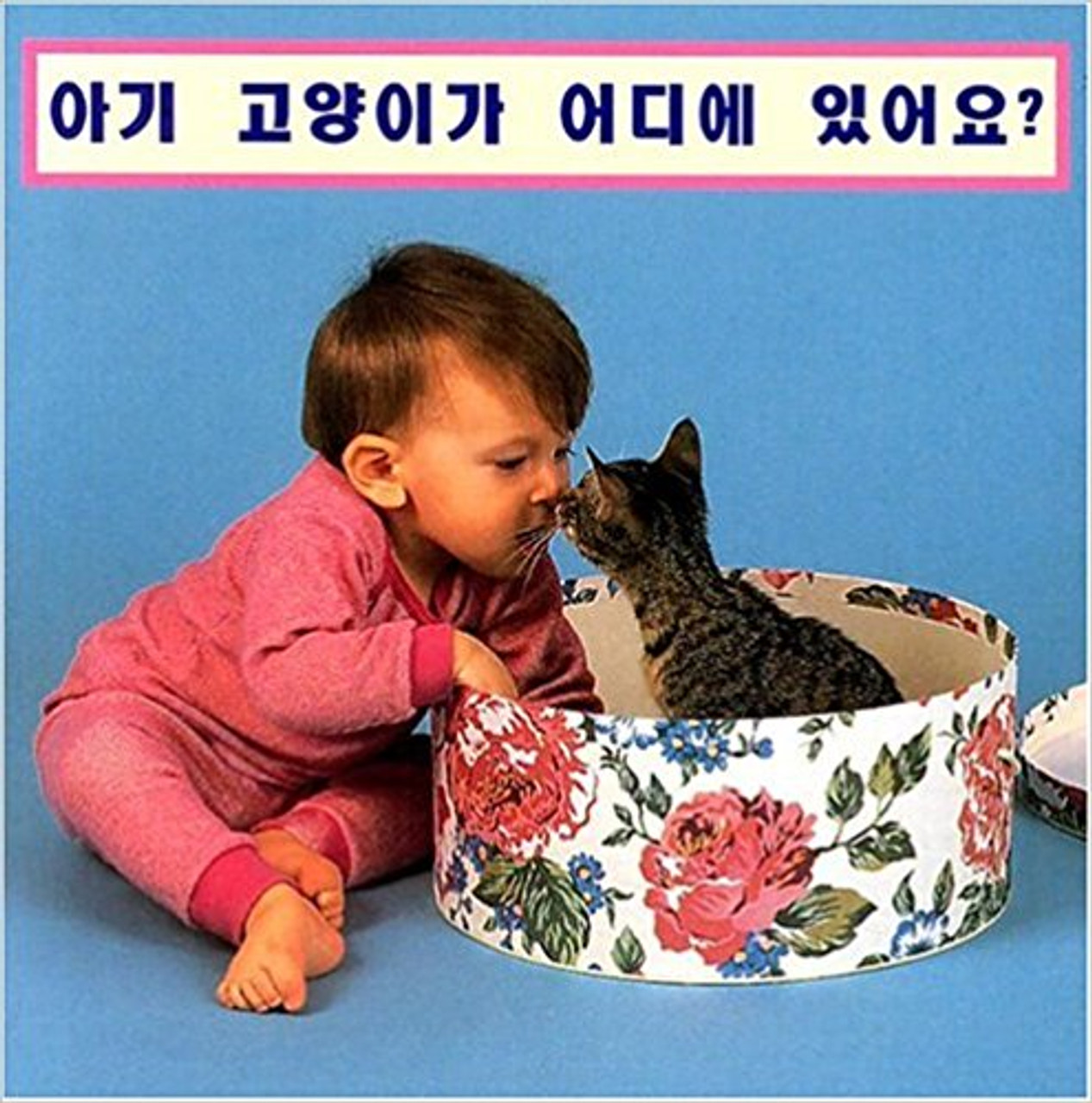 Wheres the Kitten? (Korean/English) by Cheryl Christian
