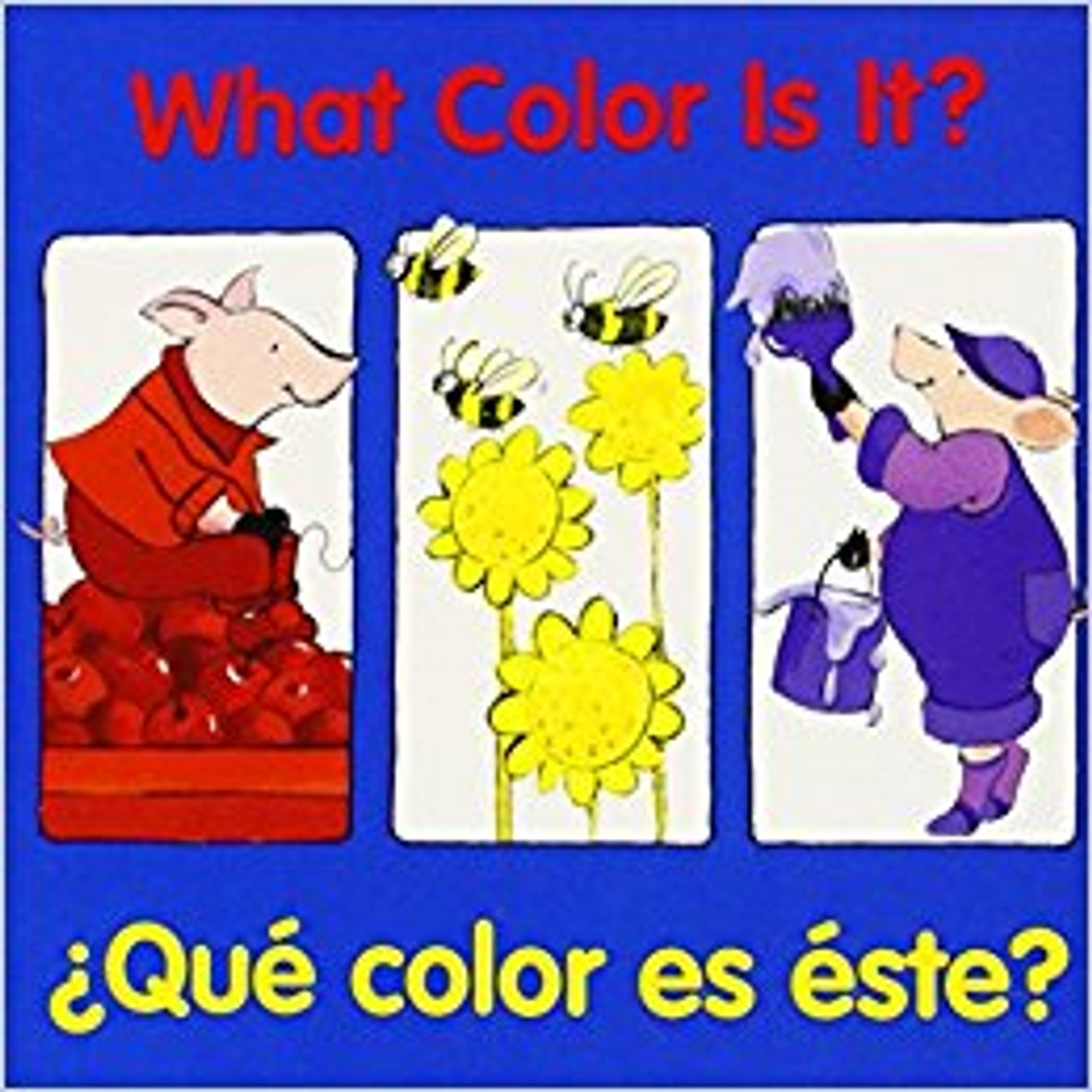 What Color Is It?/Que Color es Este? by Pamela Zagarenski 