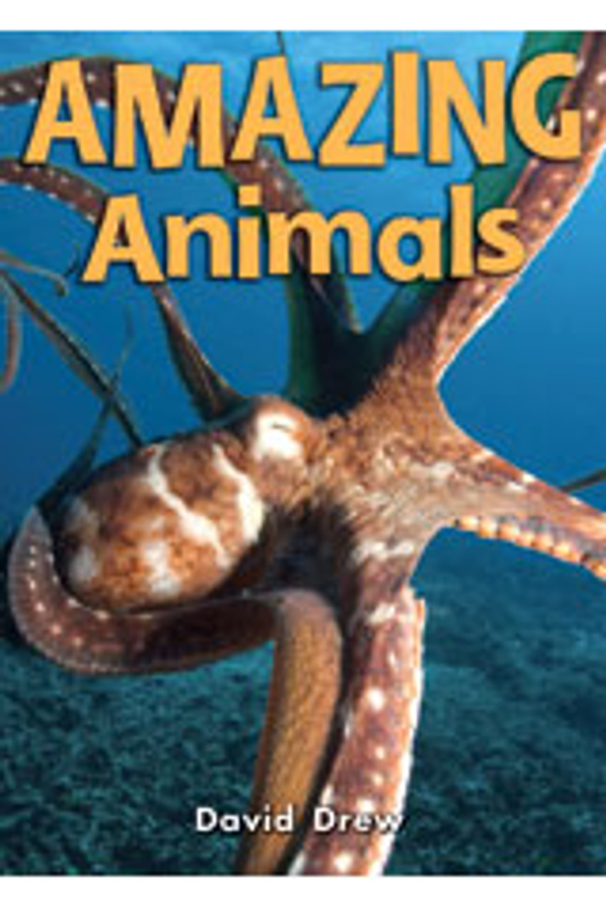 Amazing Animals (Literacy by Design)