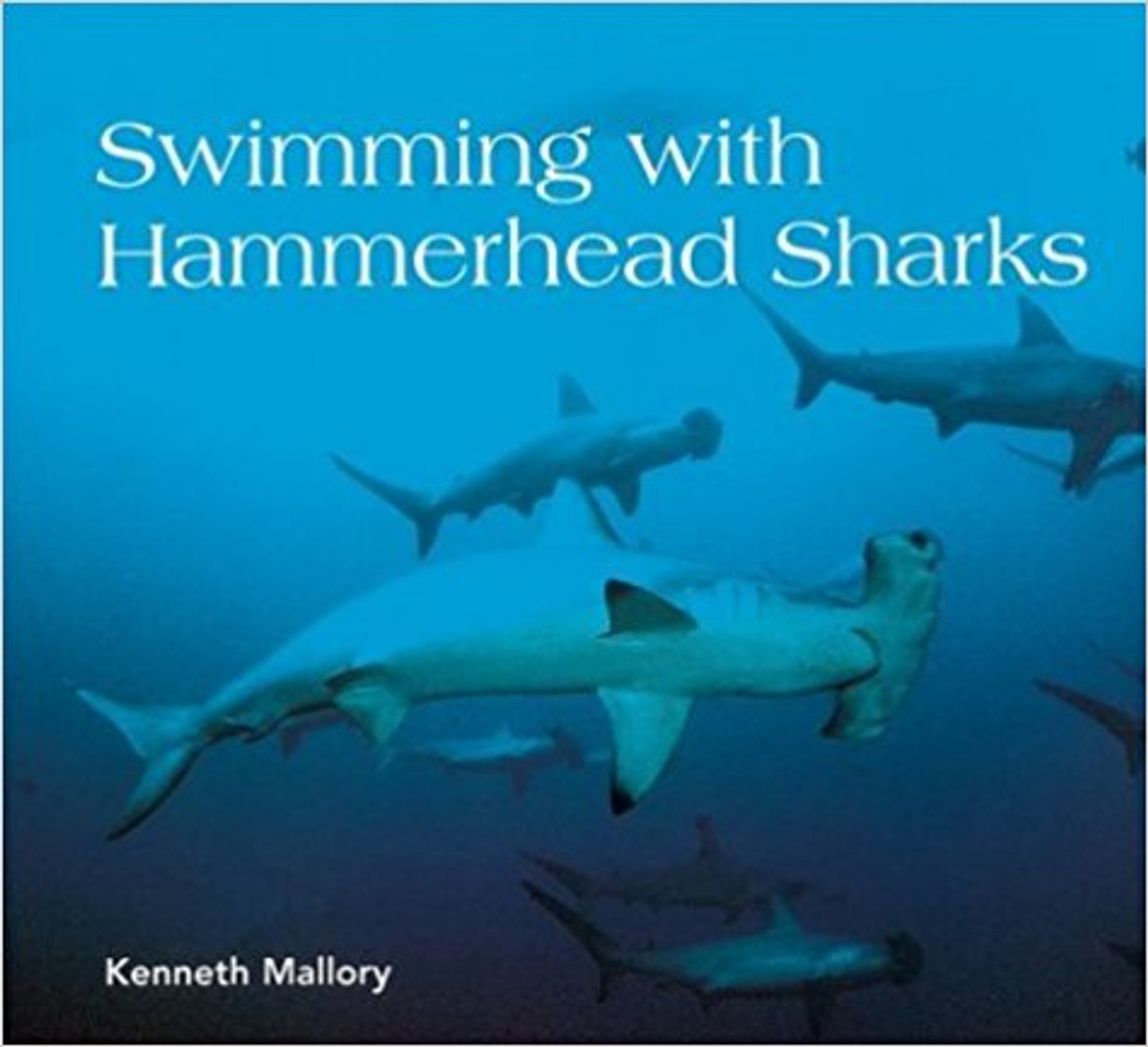 Swimming with the Hammerhead by Kenneth Mallory
