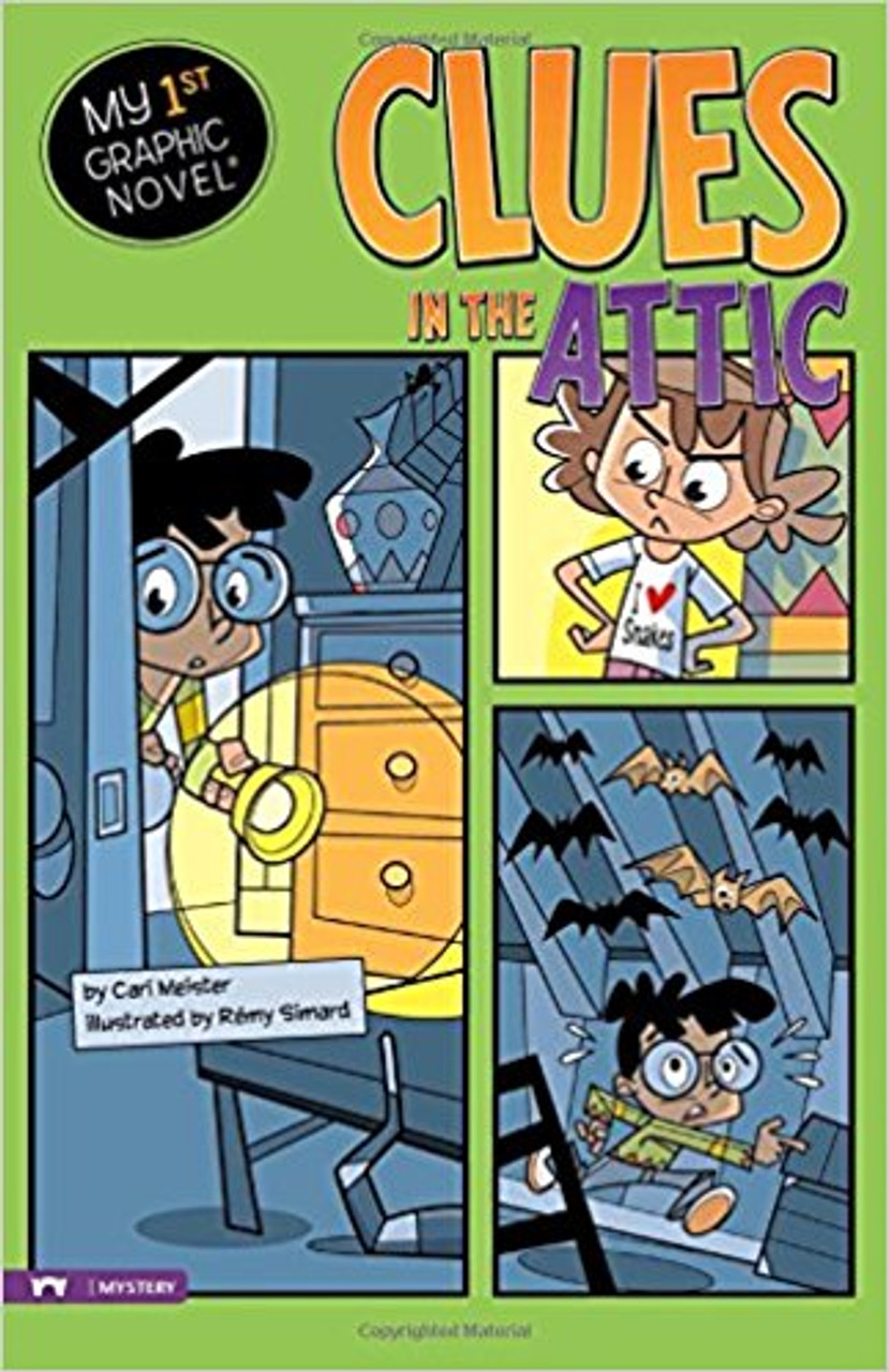 Clues in the Attic by Cari Meister