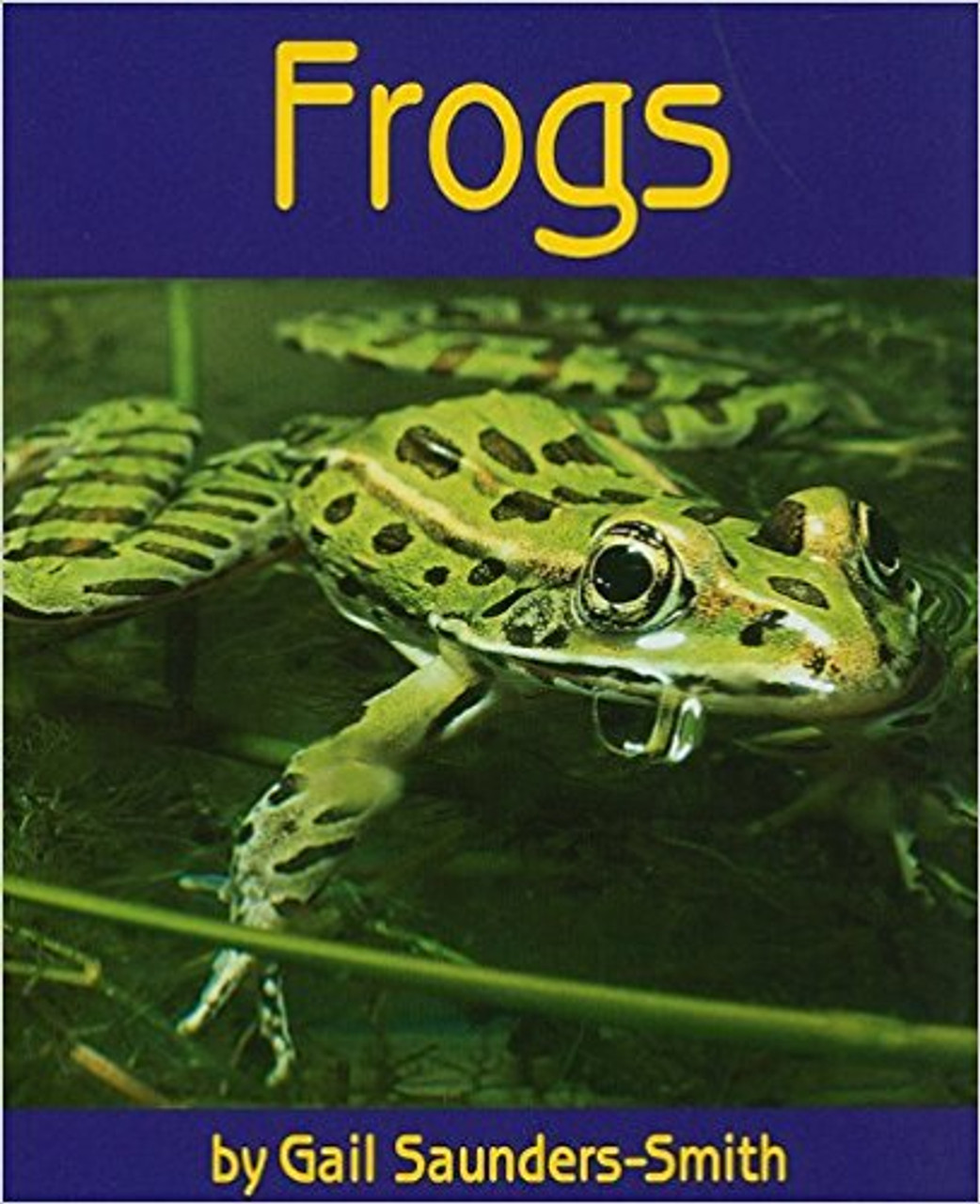 Frogs by Gail Saundes-Smith