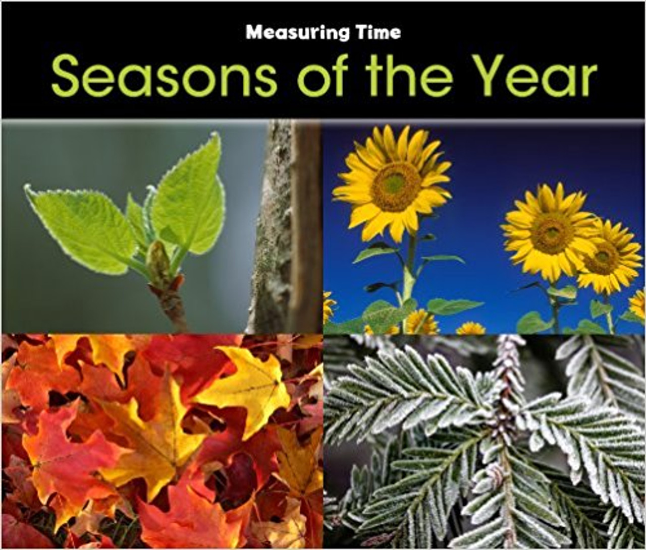 Seasons of the Year by Tracey Steffora