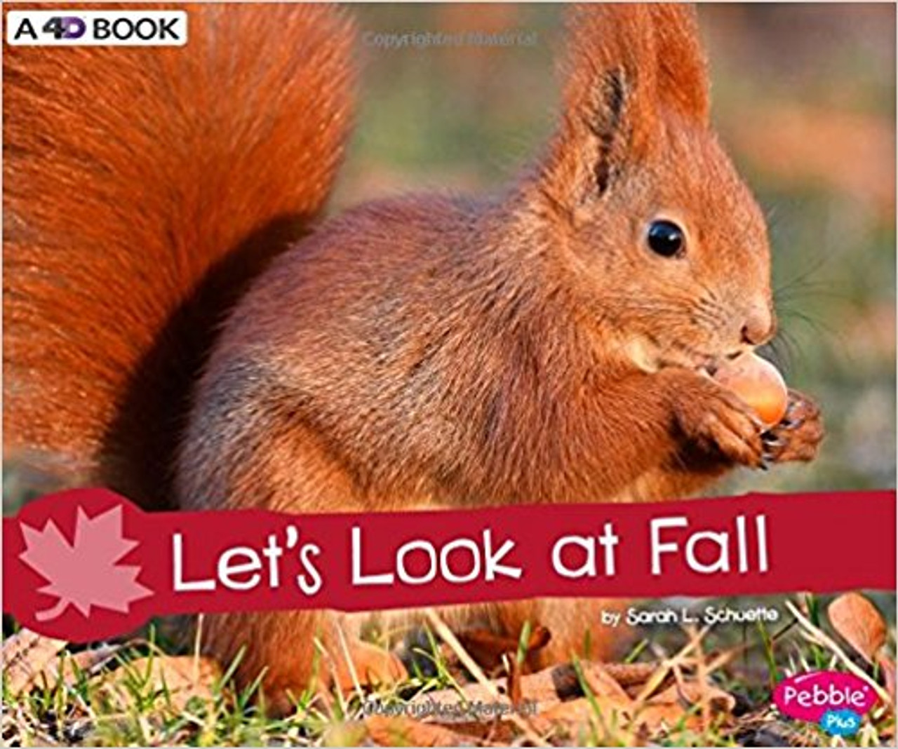 Let's Look at Fall: A 4D Book by Sarah L Schuette