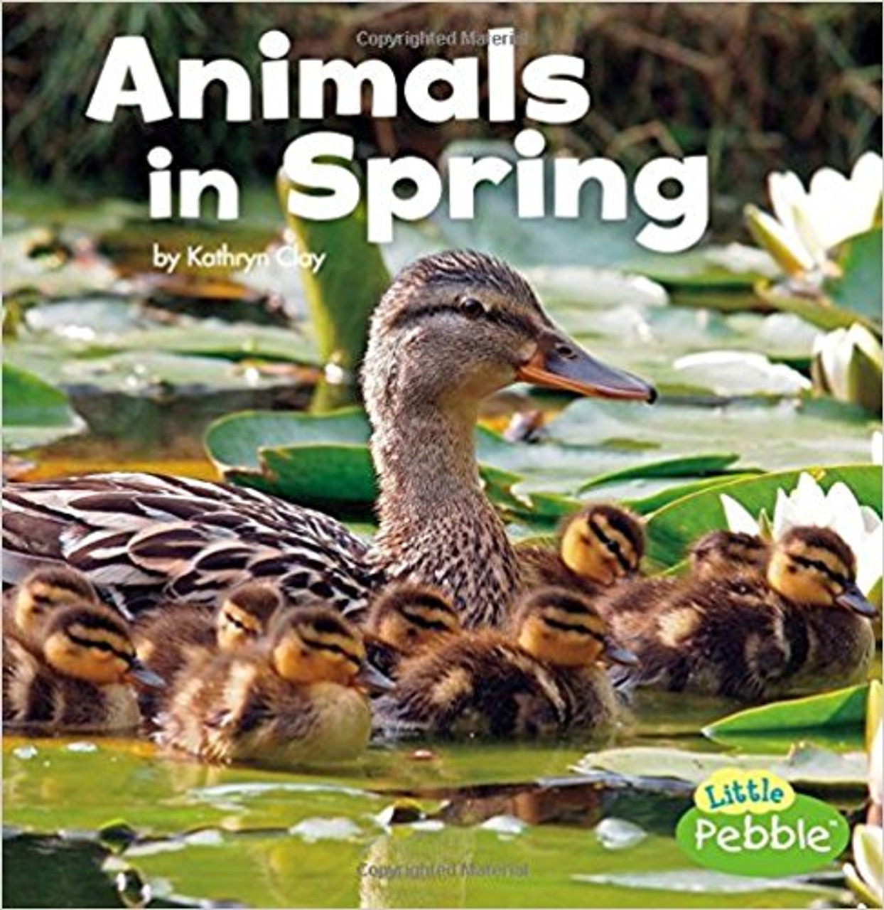 Animals in Spring by Kathryn Clay