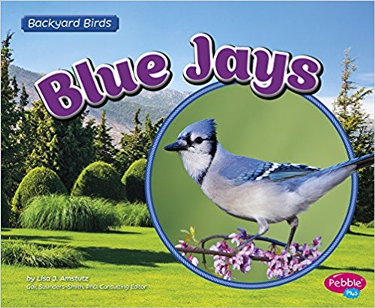 Blue Jays by Lisa J Amstutz