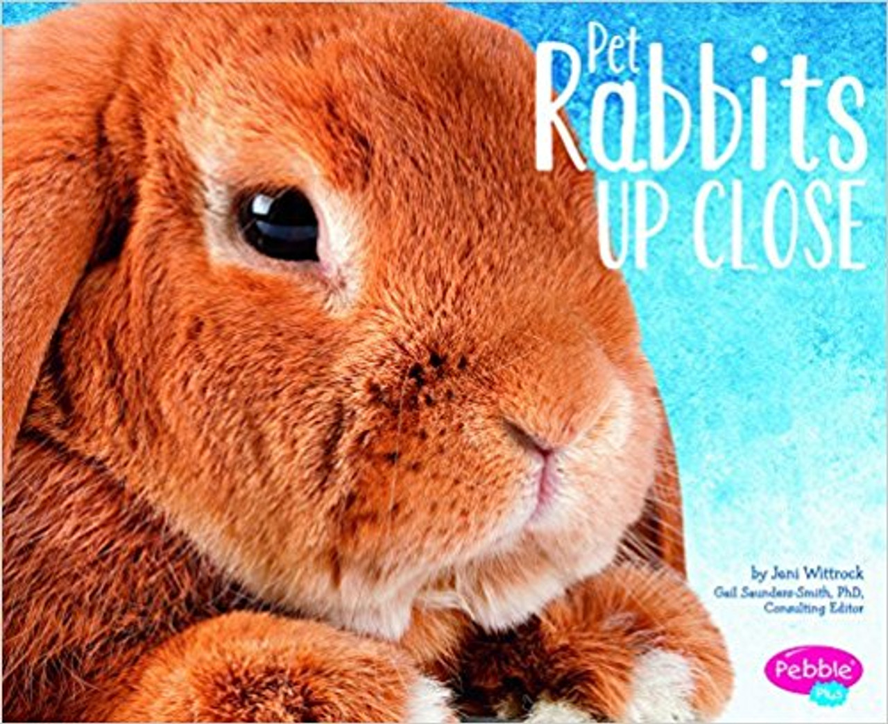 Pet Rabbits Up Close by Gail Saunders-Smith