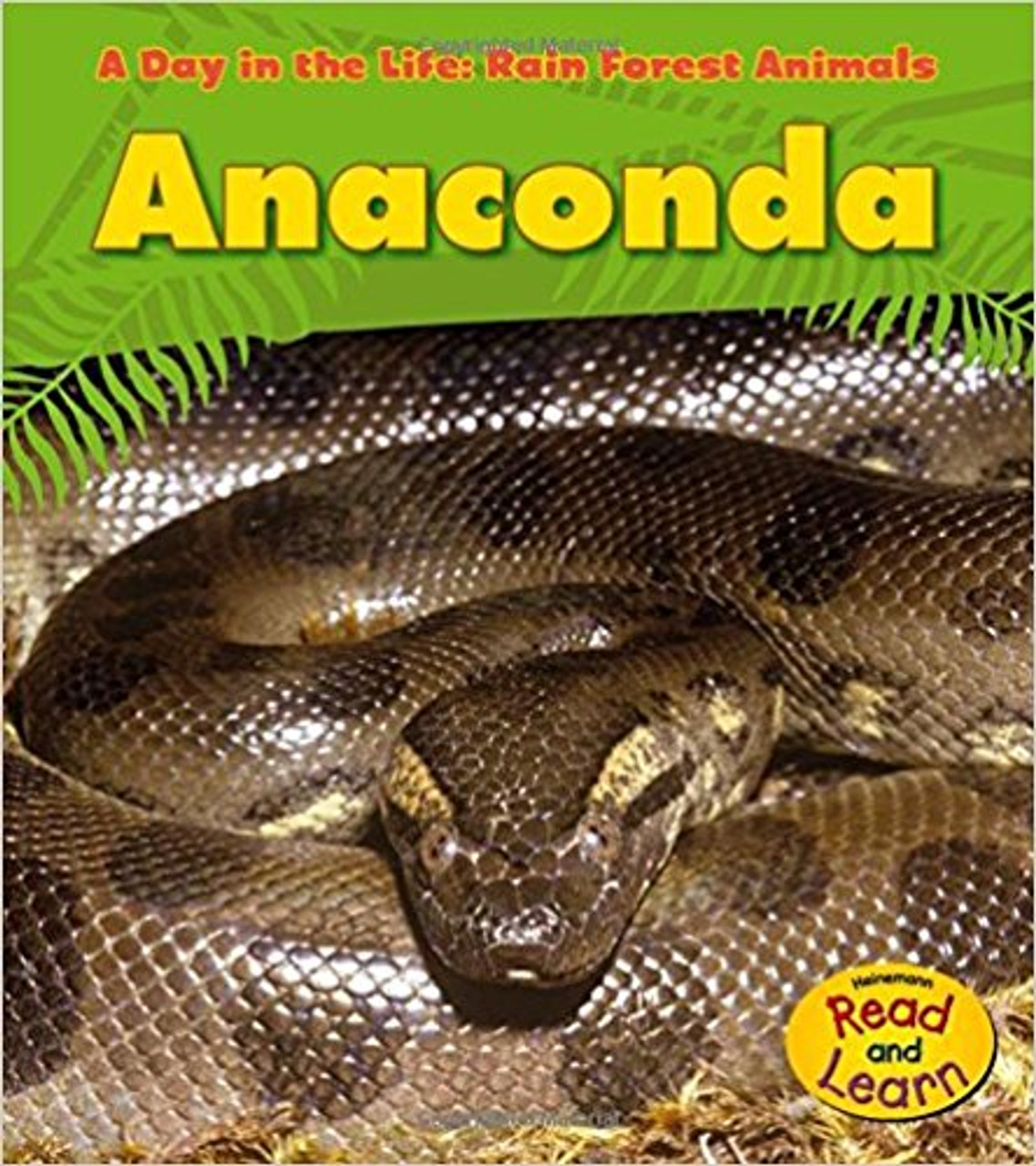 Anaconda by Anita Ganeri