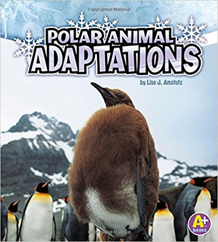 Polar Animal Adaptations by Lisa J Amstutz