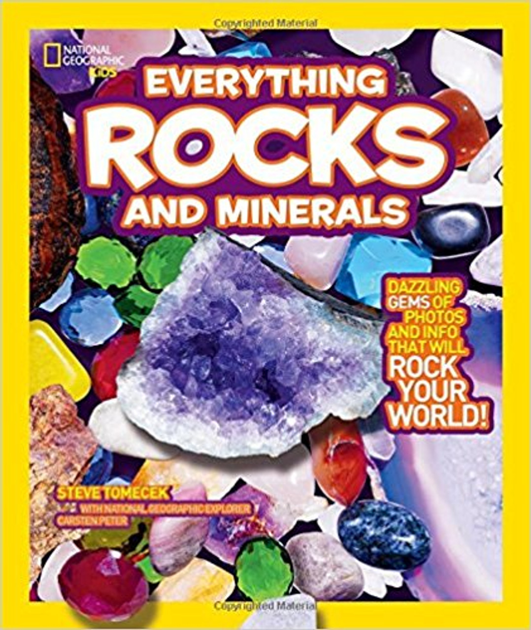 Everything Rocks & Minerals by Steve Tomecek