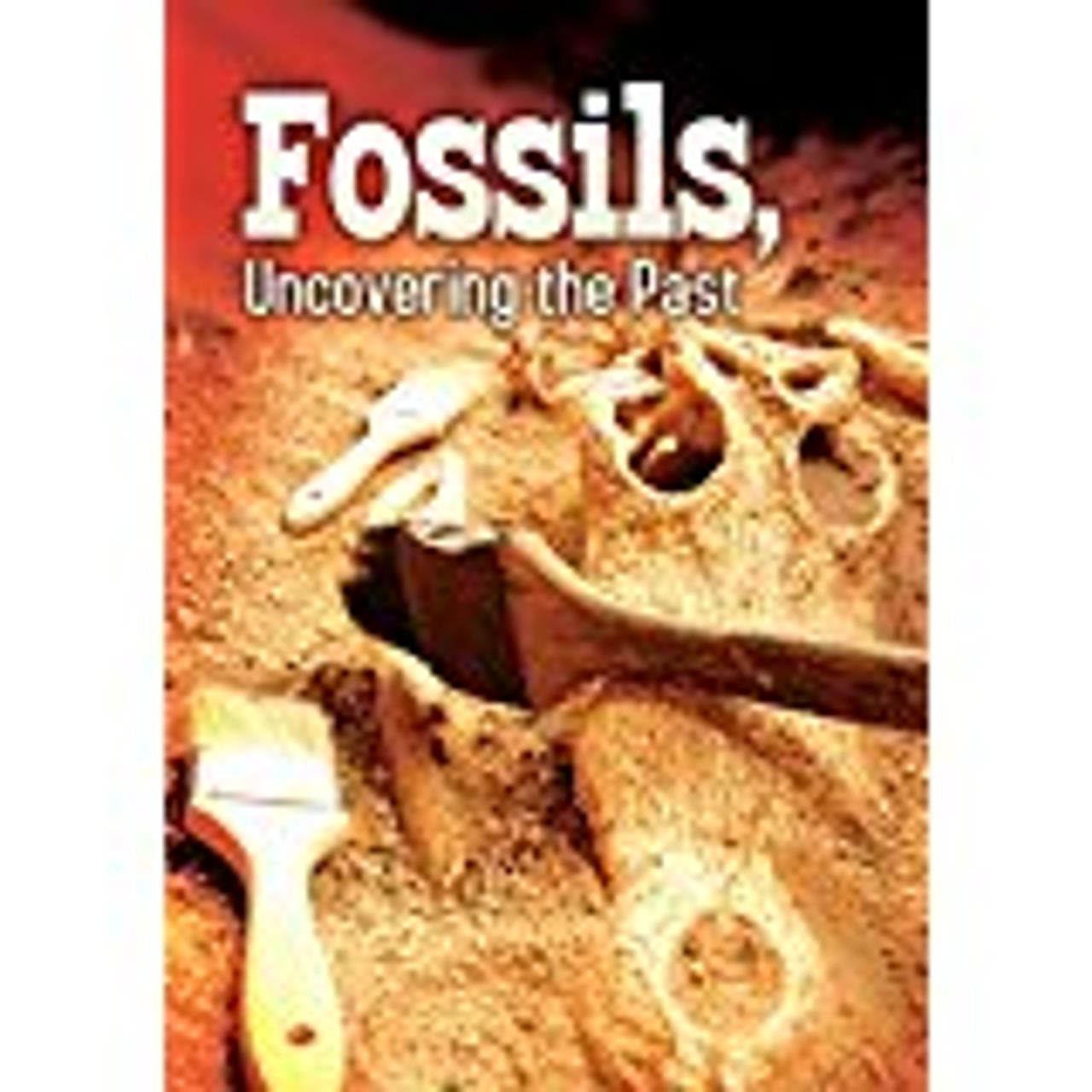 <p>Examine how the fossils document the appearance, diversification, and extinction of many life forms.</p>