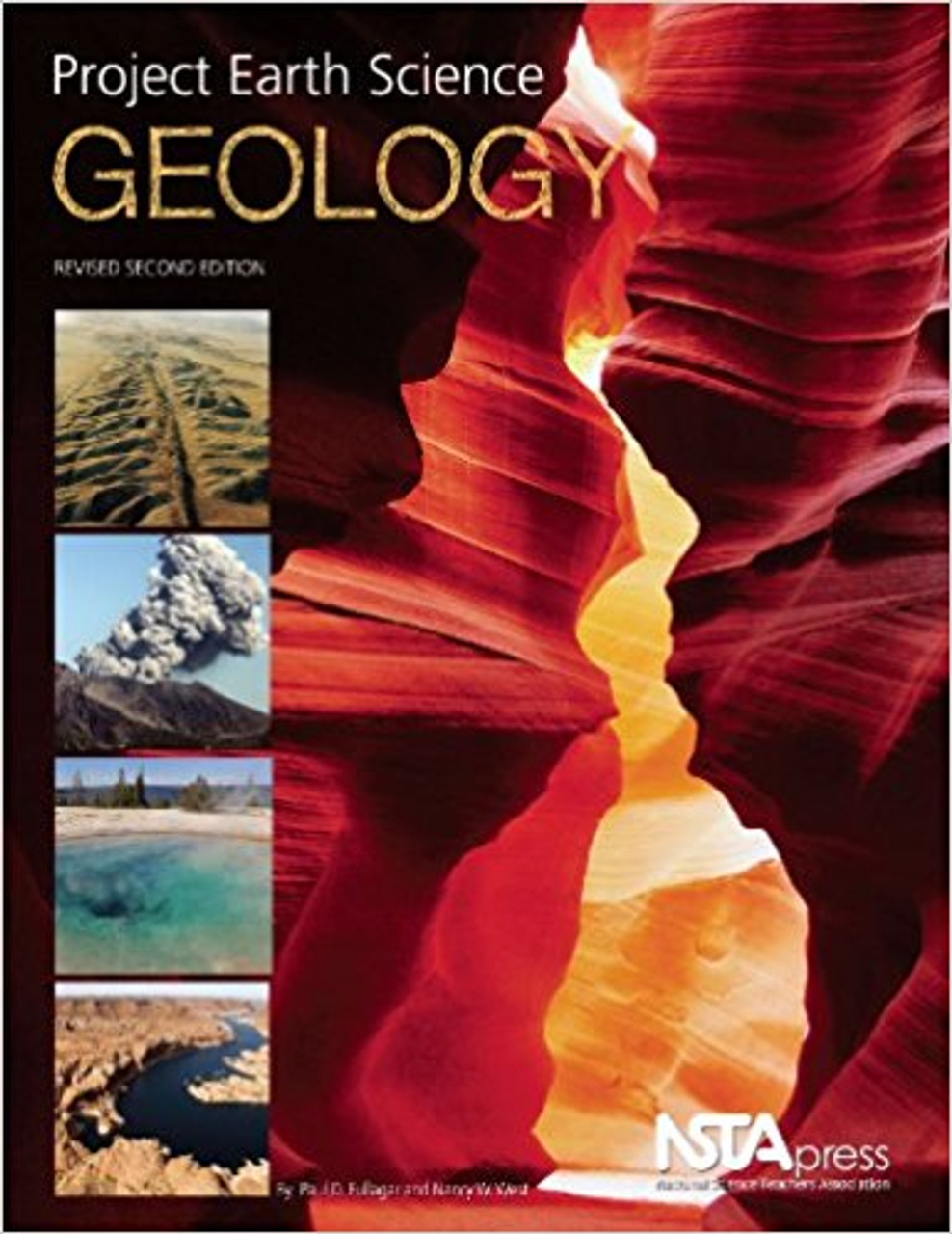 Project Earth Science: Geology by Paul D Fullager