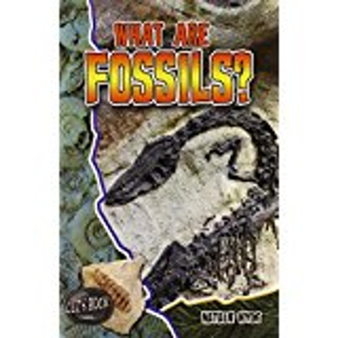 <p>An introduction to fossils, which are defined as remains, impressions, or traces of an animal or plant of past geologic ages that have been preserved in the earth's crust.</p>