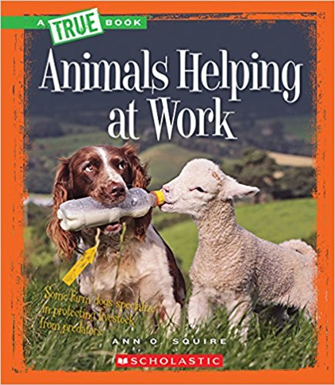 Animals Helping at Work by Ann O Squire