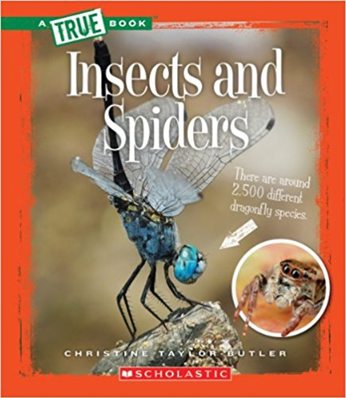 Insects and Spiders by Chirstine Taylor-Butler