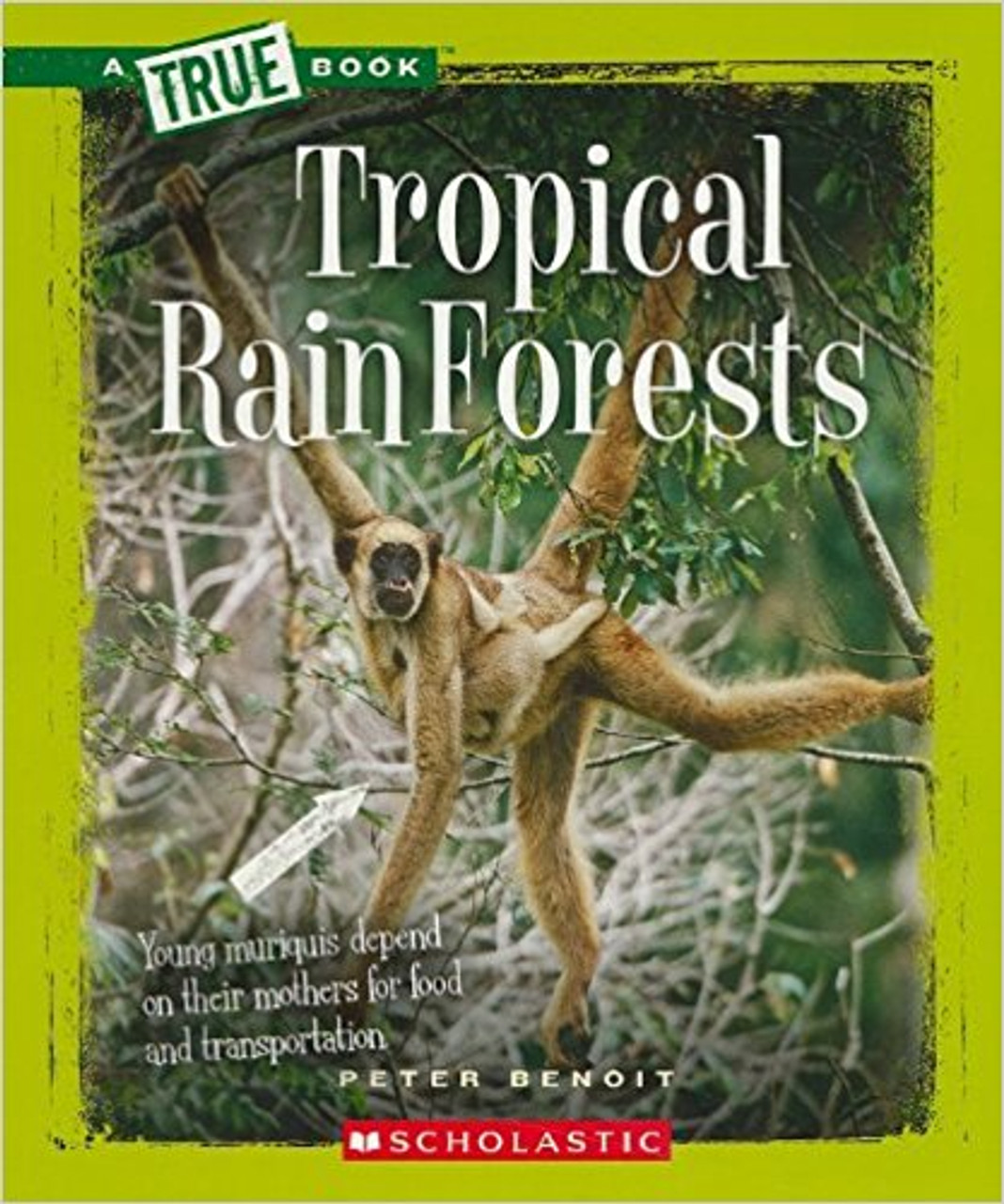 Tropical Rain Forests by Peter Benoit