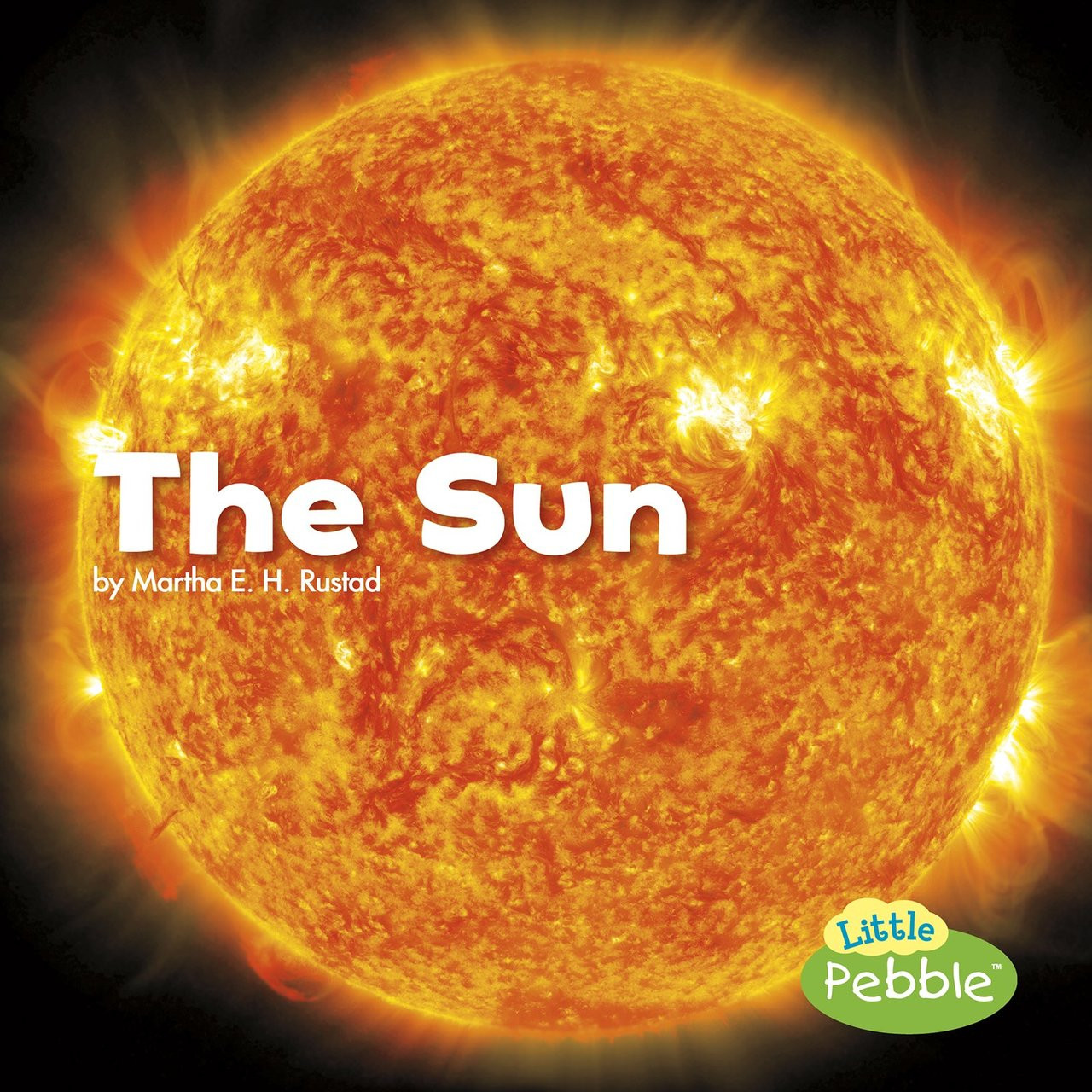 <p>Simple text and full-color photographs describe the Sun</p>