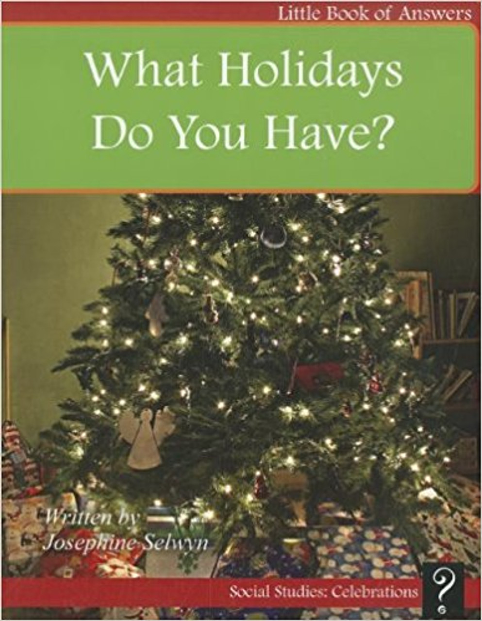 What Holidays Do You Have? by Josephine Selwyn