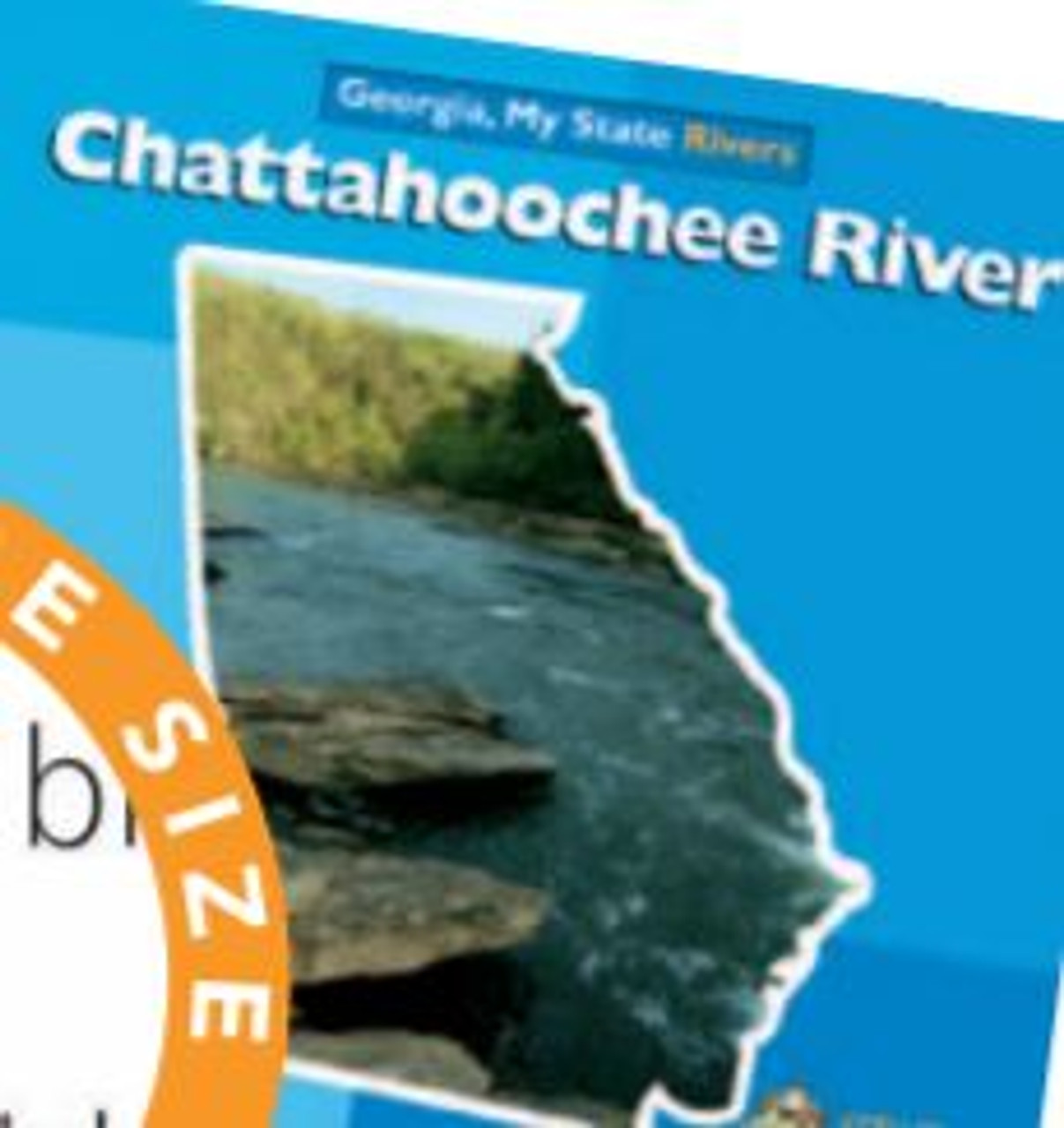 Chattahoochee River by Diane Carr