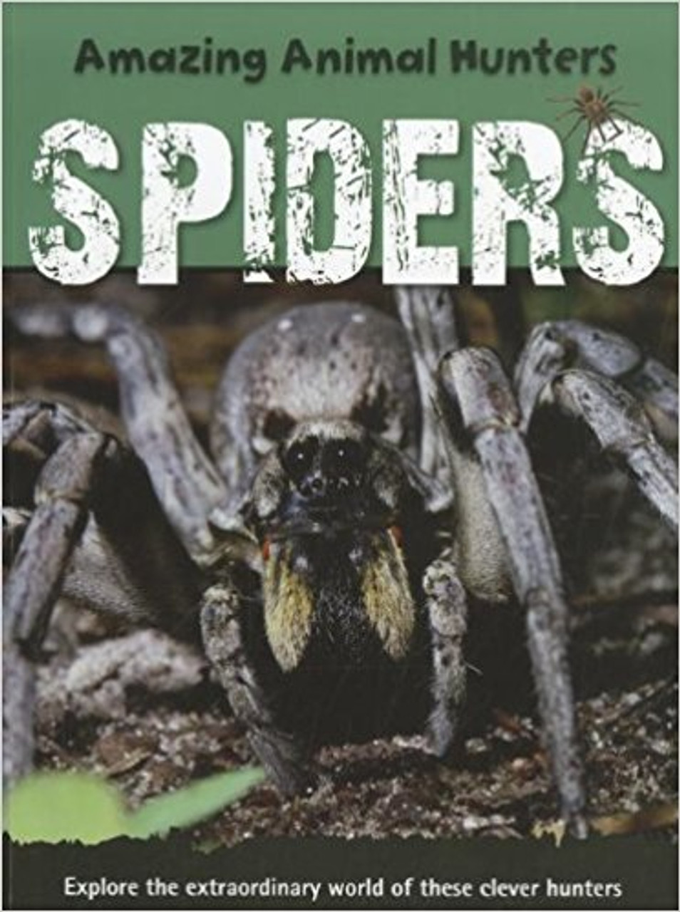 Spiders (Amazing Animal Hunters) by Sally Morgan