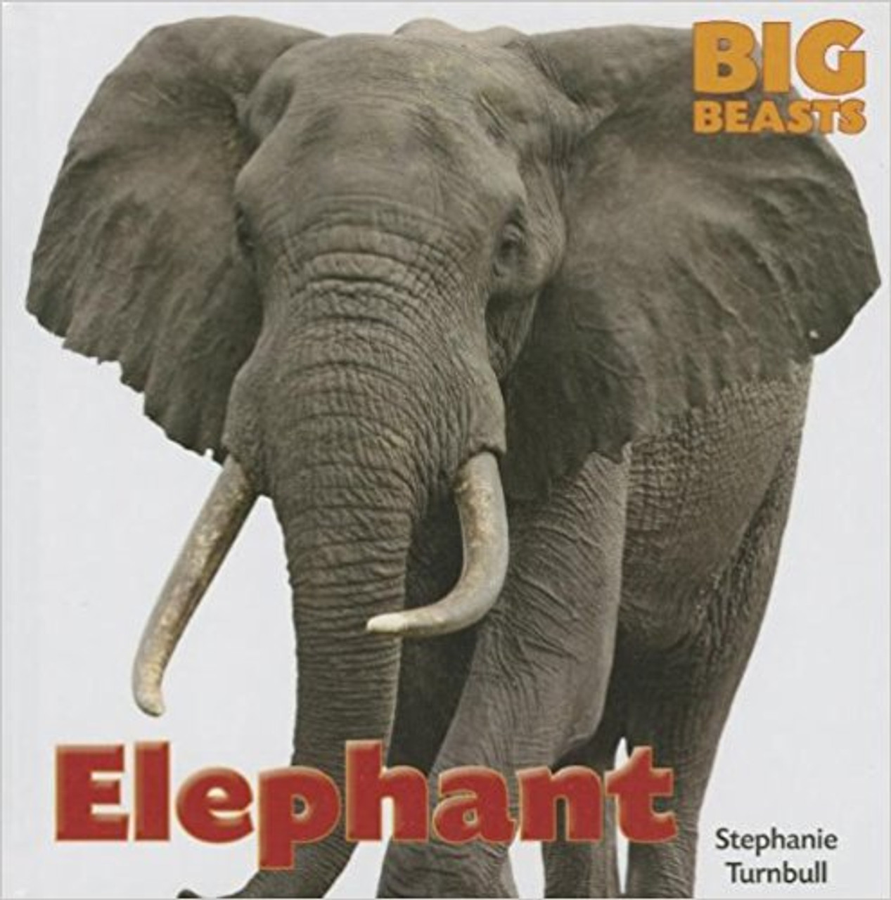 Elephant - Big Beasts by Stephanie Turnbull
